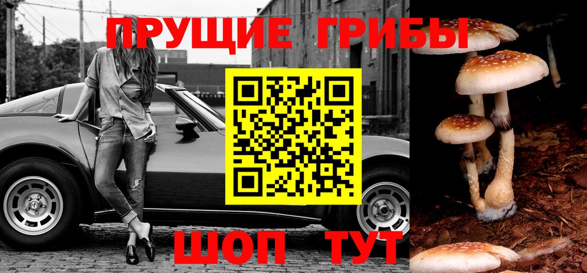 Галлюциногенные грибы прущие грибы Узловая