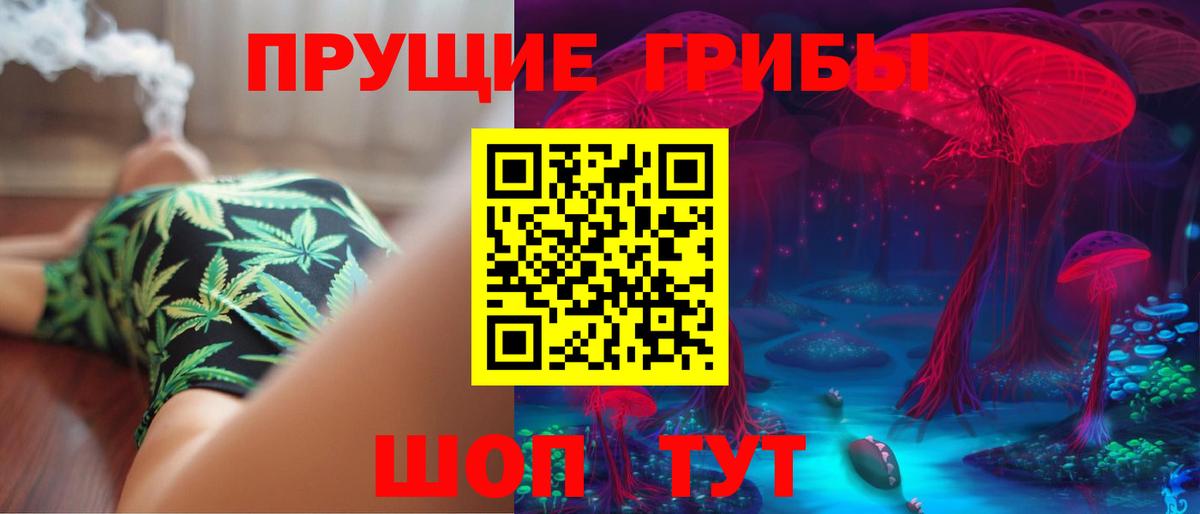 Галлюциногенные грибы MAGIC MUSHROOMS  где можно купить   Узловая  Вход с VPN  Псилоцибиновые грибы мицелий 
